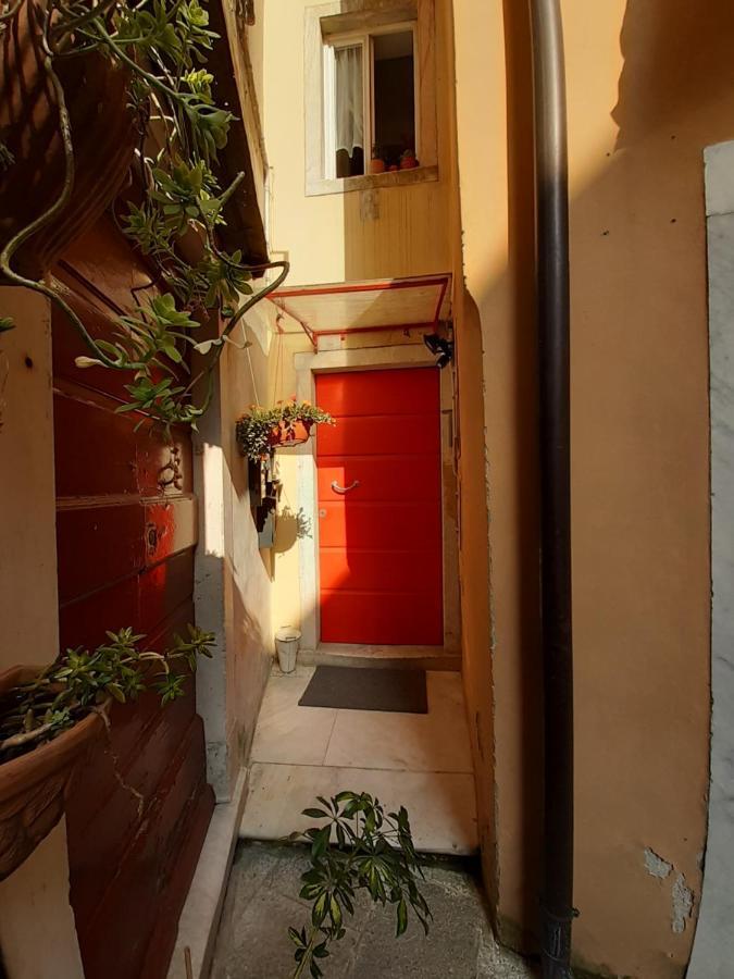 Appartamento il nido dell'arancio Carrara Esterno foto